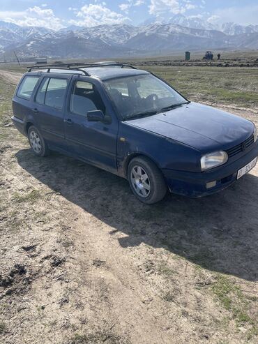 Volkswagen: Volkswagen Golf Variant: 1994 г., 1.9 л, Механика, Дизель, Универсал