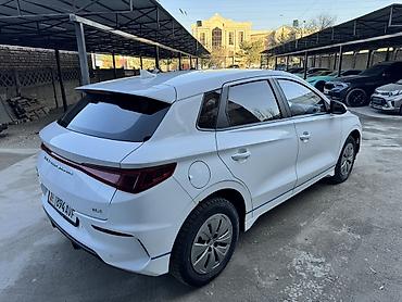 BYD: BYD E2: 2021 г., Электромобиль, Хэтчбэк — 3