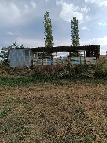 диск на сеялку: Мобильная пасека, предназначенная для удобного размещения и