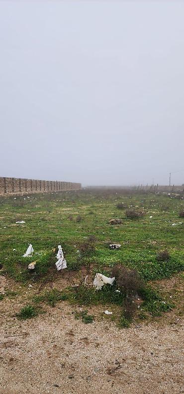 3000: 25 sot, Tikinti, Mülkiyyətçi, Kupça (Çıxarış) — 5