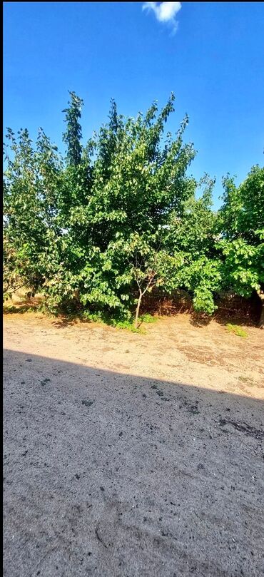 Həyət evləri və villaların satışı: Fatmayı 3 otaqlı, 120 kv. m — 25