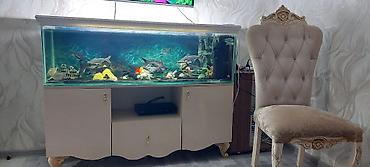 akvarium qızdırıcı: Dördbucaq akvarium, Boş, 300 l — 3
