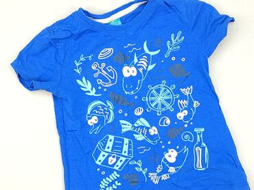 koszulka polo i marynarka: T-shirt, Little kids, 3-4 years, 98-104 cm, condition - Good