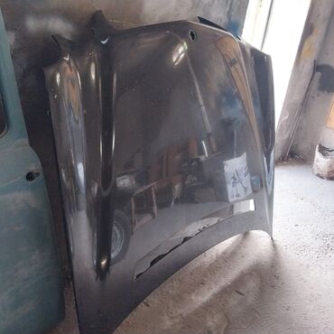 Krılolar: Mashin üçün kapot - Rəng: qara (metalik effektli) - Material: metal -