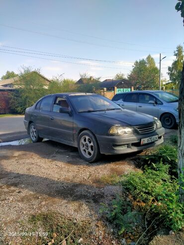 тойота авенсис 2003: Toyota Avensis: 1999 г., 1.6 л, Механика, Бензин, Седан