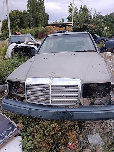 ml 163: Mercedes-Benz W124: 2026 г., 3 л, Механика, Бензин, Седан — 3
