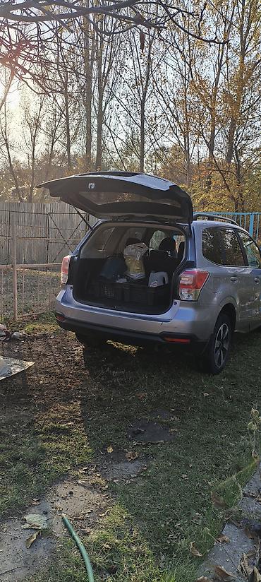 subaru forester 2017: Subaru Forester: 2016 г., Вариатор, Бензин, Кроссовер — 3