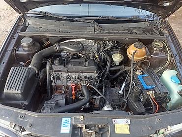 hyundai avante 1: Volkswagen Golf: 1993 г., 1.8 л, Механика, Бензин, Хэтчбэк — 3