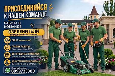 дворники: В парк Асман идет набор "Садовников - дворников" с опытом работы от 1 — 1