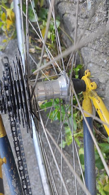 bicikle type 1: Corratec Husky Bow 204, jako redak. Cr-Mo (Chromoly) Tange — 5