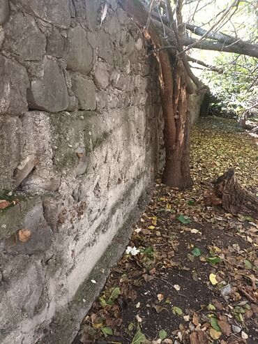 Həyət evləri və villaların satışı: Torpaq bağ sahəsi 42 sot meyvə baği satıram -da lalafo.az — 2 Həyət evləri və villaların satışı: Torpaq bağ sahəsi 42 sot meyvə baği satıram — 2