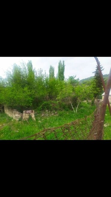 Torpaq sahələrinin satışı: Yaşıl otlar və müxtəlif ağaclarla örtülmüş, yamaclı ərazidə yerləşən — 3