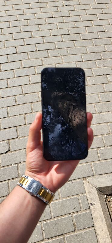 Apple iPhone: IPhone 12 Pro Max, 256 GB, Pacific Blue, Barmaq izi, Face ID, Sənədlərlə — 2