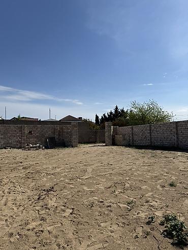 massive: 5 sot, Tikinti, Kupça (Çıxarış) — 8