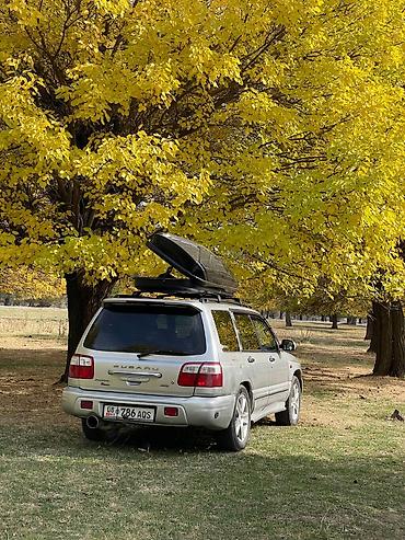 Subaru: Subaru Forester: 2001 г., 2 л, Автомат, Бензин, Универсал — 2