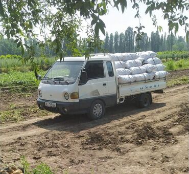 Легкий грузовой транспорт: Легкий грузовик, Hyundai, Стандарт, 3 т, Б/у