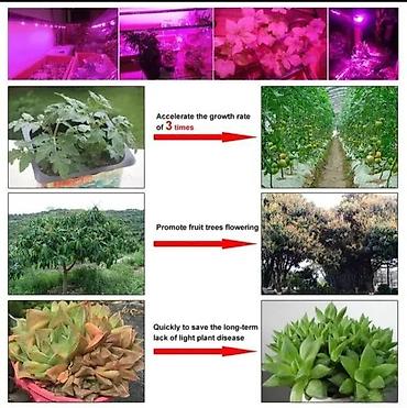 Rasveta: Led dioda za reflektor na 220v sijalica za reflektor. LED dioda za — 9