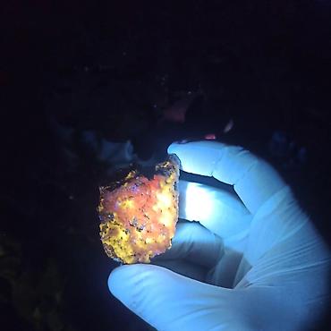 Digər kolleksiyalar: UV Parlayan Təbii Daş Satılır – Kolleksiya üçün Nadir Kristal 💎 — 5