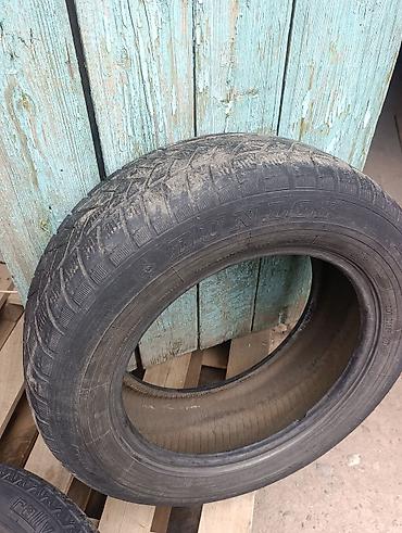 дики 15: Шины 195 / 65 / R 15, Всесезонная, Б/у, Легковые, Германия, DUNLOP — 4