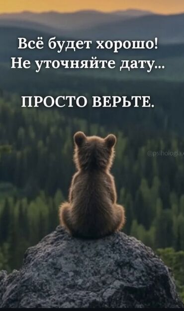 ищу работу на кафе: Администратор. Без опыта at lalafo.kg ищу работу на кафе: Администратор. Без опыта