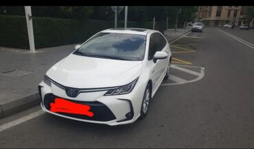 растаможка авто: Toyota COROLLA 1000 azn ilkin ödenişle 36 ay 900 azn. CİDDİ ŞEXSLER