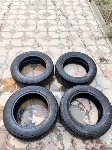 шины камера: Шины 205 / 55 / R 16, Зима, Б/у, Комплект, Легковые, Dunlop