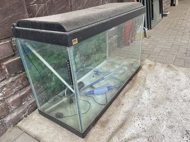 аквариум балыгы аты: Продаю аквариум на 300 литров сами пользовались продаем за