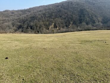 qobuda torpaq satilir: 32 sot, Kənd təsərrüfatı, Kupça (Çıxarış), Bələdiyyə