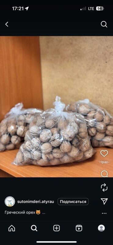 аквариумы в бишкеке: Грецкие орехи
Мешок