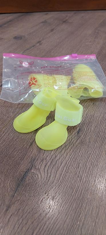 mops it: It uçun ayaqqabı 
 (M razmer) 
 Təzə — 1