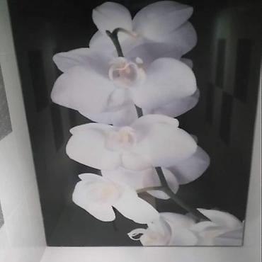 Натяжной потолок: Натяжной потолок Глянцевое, Матовое, 3D потолки — 25