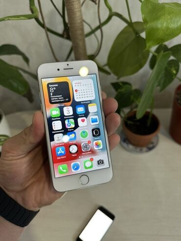 заказать бесплатный айфон: IPhone 6s, Серебристый