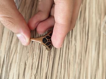 antik etir: Bürünc tonlarında, iri başlı uniseks üzük. - Material: metal ərinti — 4