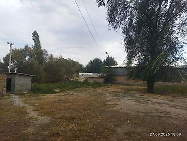 пантера котедж ориг: 4 комнаты, 120 м², 60 соток, Электричество — 6