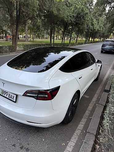 Tesla: Tesla Model 3: 2021 г., Автомат, Электромобиль, Седан — 5