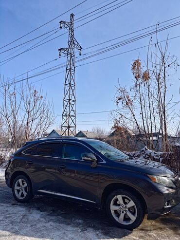 лексу 330: Lexus RX: 2009 г., 3.5 л, Автомат, Бензин, Кроссовер