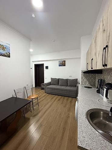 хбк квартира: 1 комната, 25 м², Цокольный этаж этаж, Евроремонт — 4