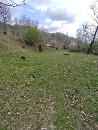 Torpaq sahələrinin satışı: Satılır: təbiət qoynunda yaşıllıqla əhatələnmiş torpaq sahəsi — 2
