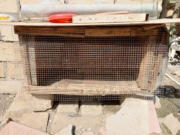 Xaltalar, qayışlar və tasmalar: Məhsul: Kiçik heyvanlar üçün tor şəbəkəli ağıl/kafel (qəfəs) Təsvir