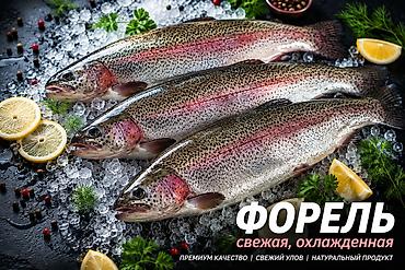 Балыктар: Продается форель живая и не живая. только оптом. Торг — 2