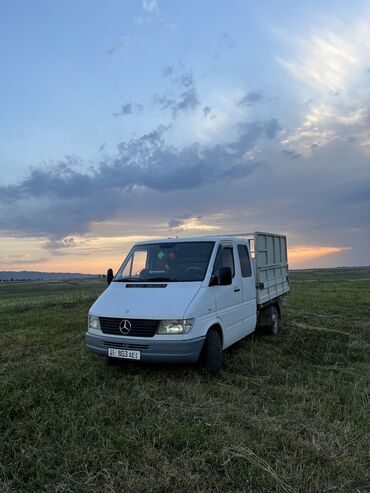 мерс милелум: Mercedes-Benz Sprinter: 1999 г., 2.9 л, Механика, Дизель