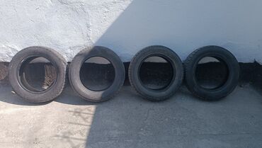 резина шипованная r14: Шины 165 / 65 / R 14, Зима, Б/у, Комплект, Легковые, Япония, GoodYear
