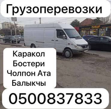 Портер, грузовые перевозки: Бус, Переезд, перевозка мебели, По региону, По городу, с грузчиком