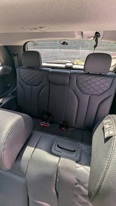 чехол чанган: Hyundai Palisade: 2020 г., 2.2 л, Робот, Дизель, Кроссовер — 7