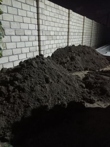 Toxumlar: Şəhid ailələrinə çatdırılma pulsuzdur. Qara torpaq Şamaxı İsmayıllı — 9