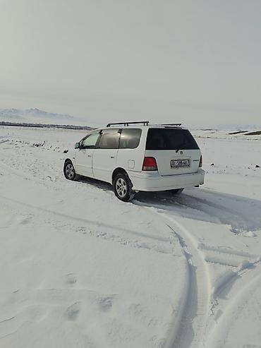 transporter multivan: Honda Odyssey: 1998 г., Автомат, Бензин, Минивэн — 2
