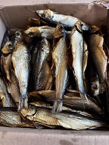 кыргыз сиги: 🐟 Приглашаем магазины и торговые точки к сотрудничеству! Предлагаем — 5
