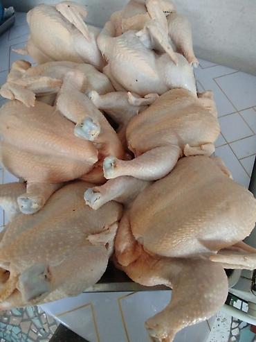 Здрастуйте друзя Продаю мясо курицы(бройлерный) по 300 сом за 1 кг
