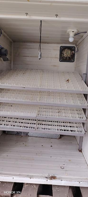 600 yumurta, Bütün növ quşlar üçün