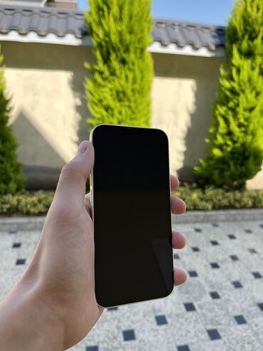 iphone 13 mini: IPhone 13, 128 GB, White Titanium